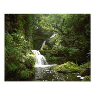 Foto McLean Falls South Island New Zealand