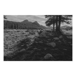 Foto Meadows de Tuolumne del Parque Nacional Yosemite