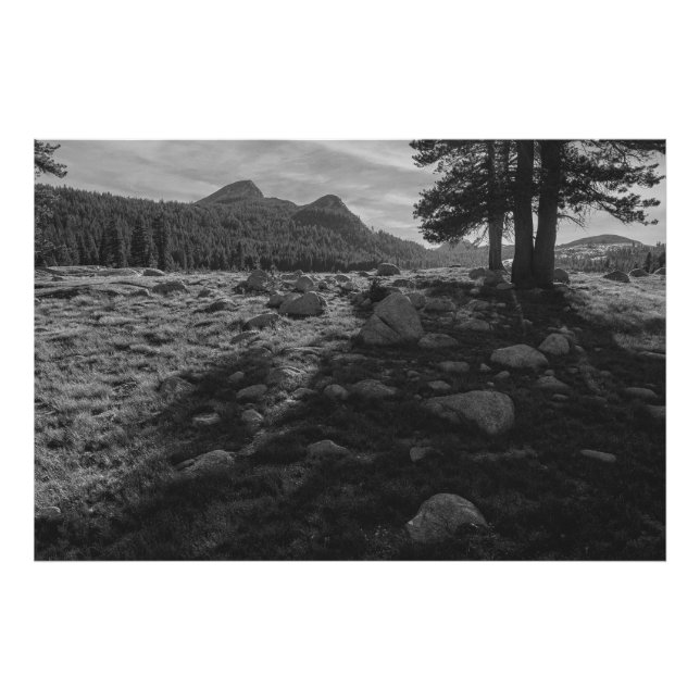 Foto Meadows de Tuolumne del Parque Nacional Yosemite (Frente)