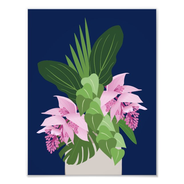 Foto Medinilla tropical Flor rosa en azul oscuro (Frente)