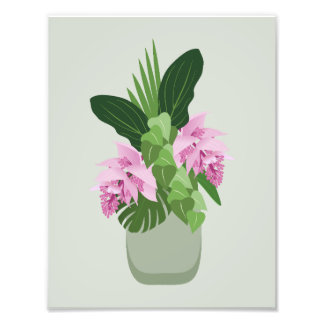 Foto Medinilla tropical Flor rosa en grano en verde