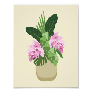 Foto Medinilla tropical Flor rosa en grasa de amarillo
