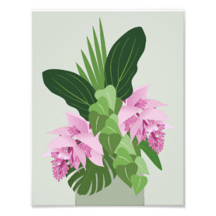 Foto Medinilla tropical Flor rosa en verde