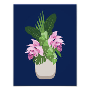 Foto Medinilla tropical Vasa de flores rosadas en azul 