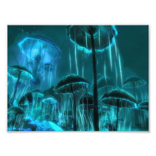Foto Medusas de la seta