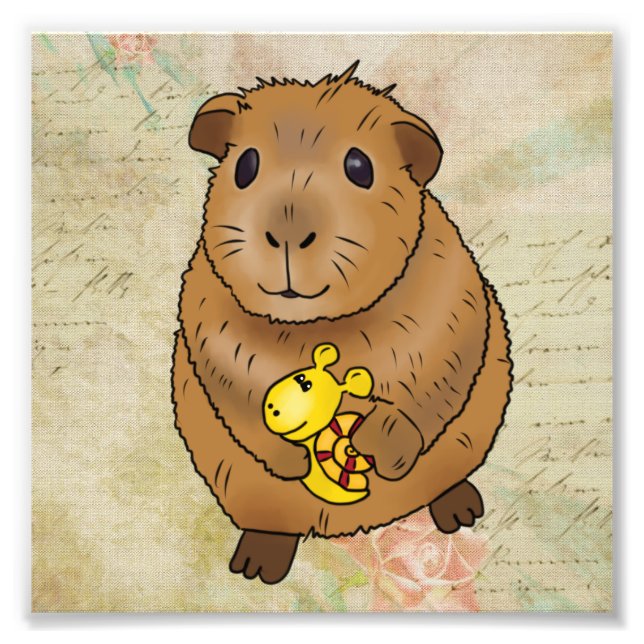 Foto Meerscheinchen und Schnecke (Frente)