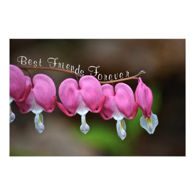 Foto Mejor Amigos para siempre (Frente)