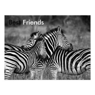 Foto Mejores amigos