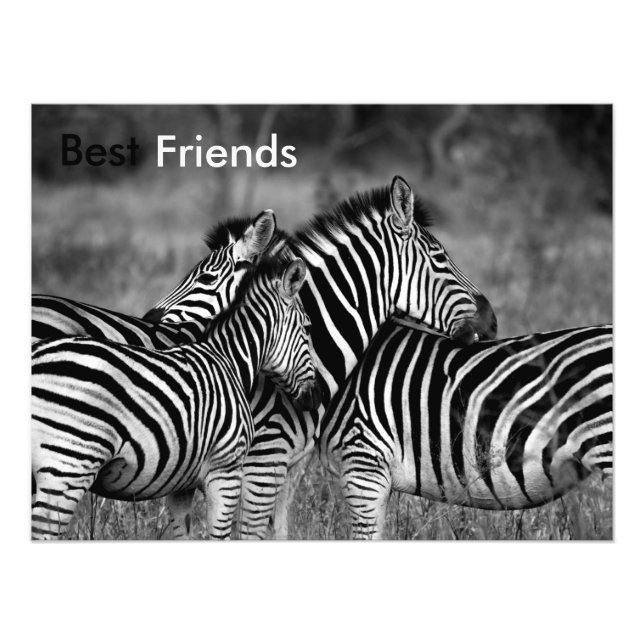 Foto Mejores amigos (Frente)