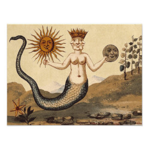 Foto Merman Sun y Moon