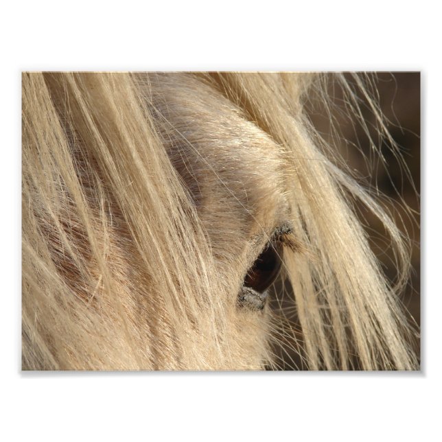 Foto Messy Mane Day (Frente)