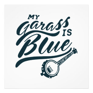 Foto Mi banjo de vidrio es azul