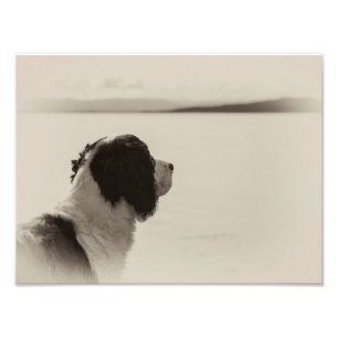 Foto Mi Barco Vendrá