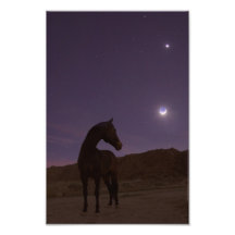 Mi chico ama a la luna