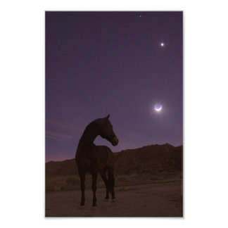 Foto Mi chico ama a la luna