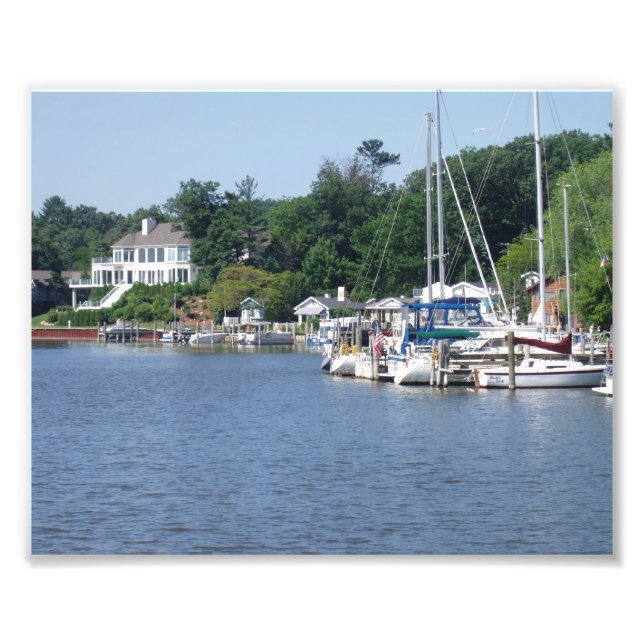 Foto Mi patio trasero (Frente)