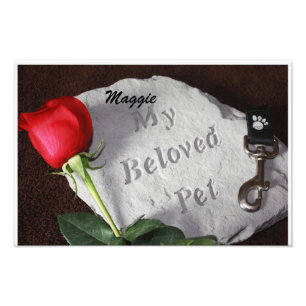 Foto Mi querida piedra Mascota en memoria
