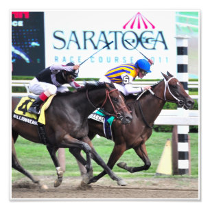 Foto Mi Srta. Aurelia- The Adirondack