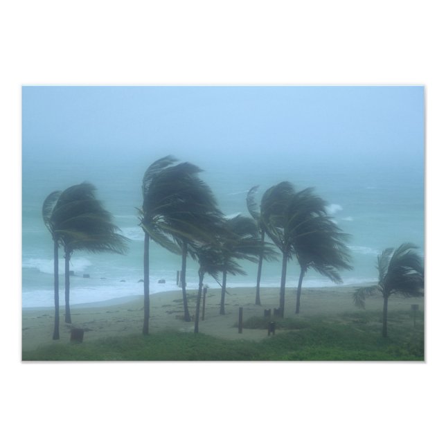 Foto Miami Beach, Florida, los vientos de huracán azota (Frente)