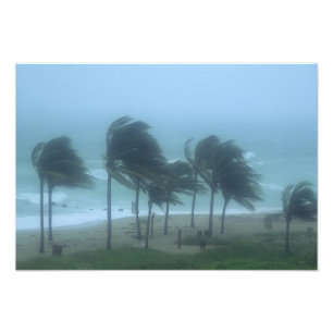 Foto Miami Beach, Florida, vientos huracanados azotando