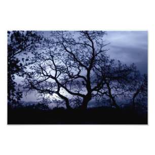 Foto Midnight Sunset