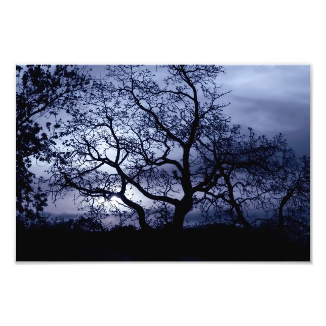 Foto Midnight Sunset (Frente)