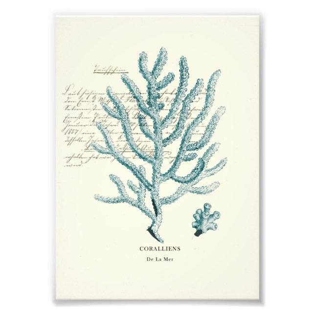 Foto Milla Nautica (Frente)