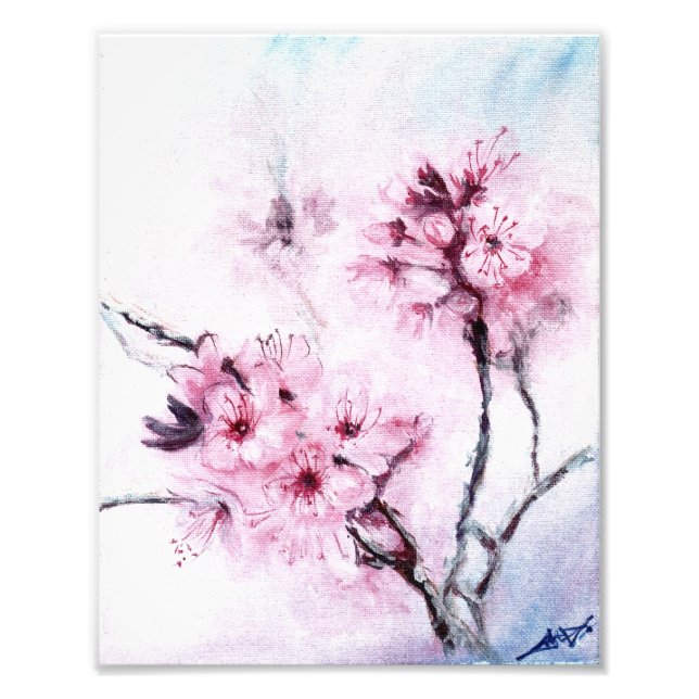 Foto mini Sakura (Frente)