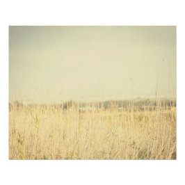 Foto Minimalist Abstract Nature – Calming Wall Art