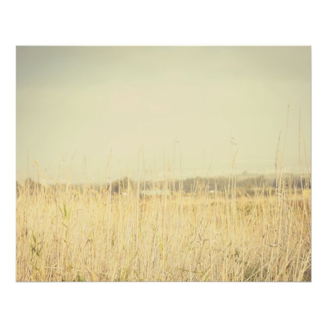 Foto Minimalist Abstract Nature – Calming Wall Art (Frente)