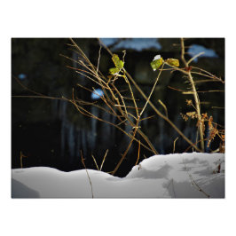 Foto "Minnesnowta invisible"