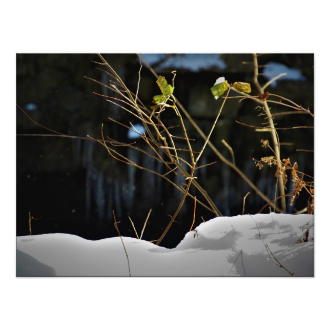 Foto "Minnesnowta invisible" (Frente)