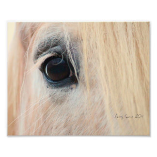 Foto Mira en el alma