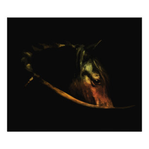 Foto Mirada Majestuosa: Retrato de Caballo de Arte Fino