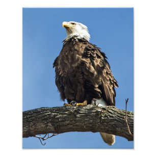 Foto Mirando hacia arriba