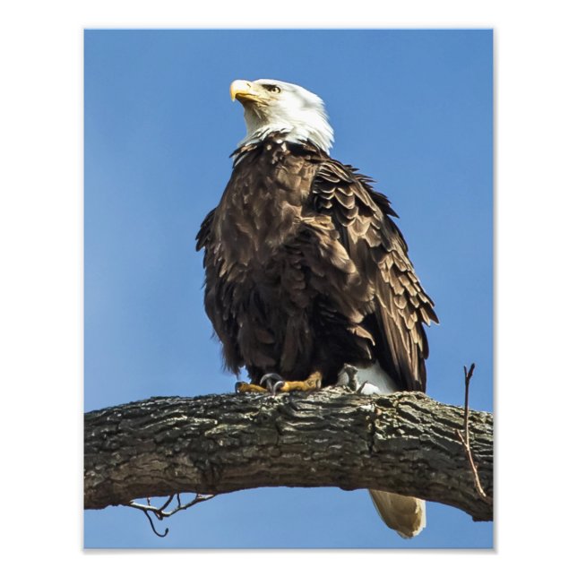 Foto Mirando hacia arriba (Frente)