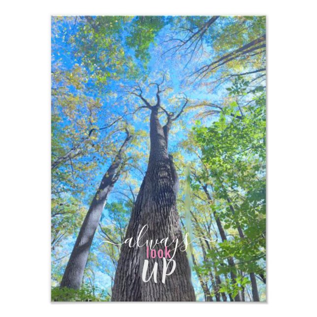 Foto Mirar siempre el cielo y las hojas otoñales (Frente)