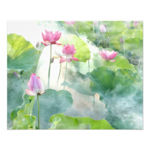 Foto Misty Morning Lotus