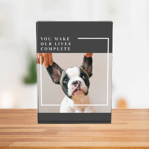 Foto moderna de perro Cita de perro