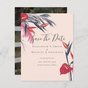 FOTO moderna salva dates dates pampas gramo tropic