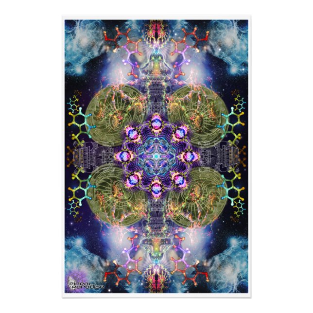 Foto Momento divino de la verdad (Frente)