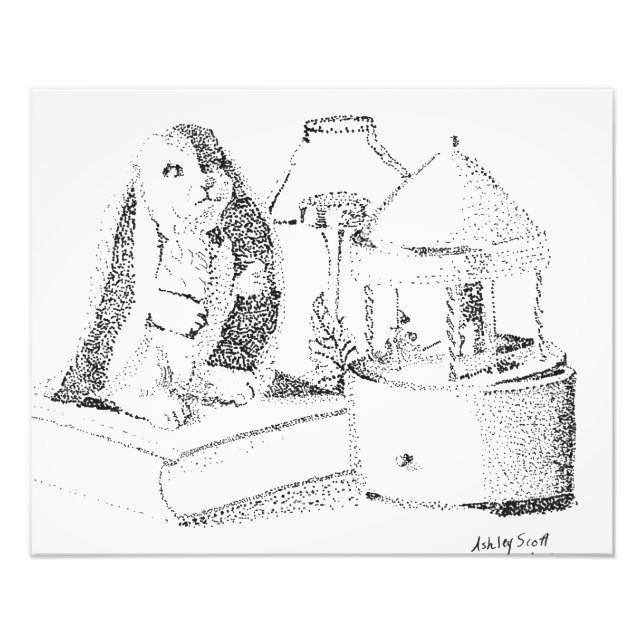 Foto Momentos de conejo (Frente)