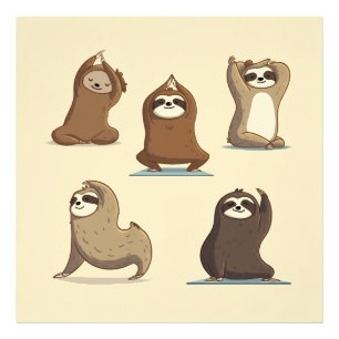Foto Momentos de Yoga de Perezoso