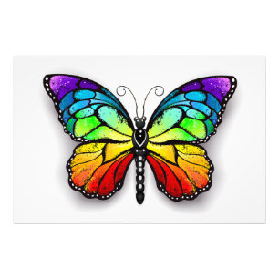 Foto Monarca de mariposa arcoiris