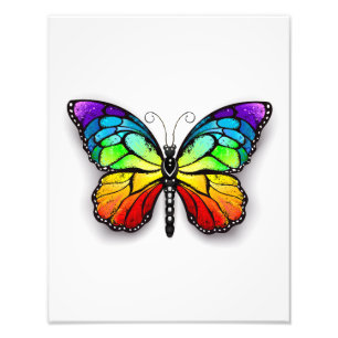 Foto Monarca de mariposa arcoiris