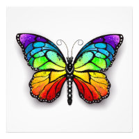 Monarca de mariposa arcoiris