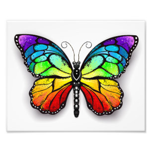 Foto Monarca de mariposa arcoiris