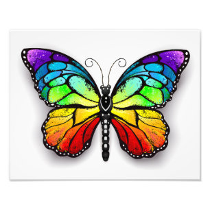 Foto Monarca de mariposa arcoiris