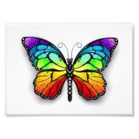 Monarca de mariposa arcoiris
