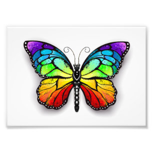 Foto Monarca de mariposa arcoiris